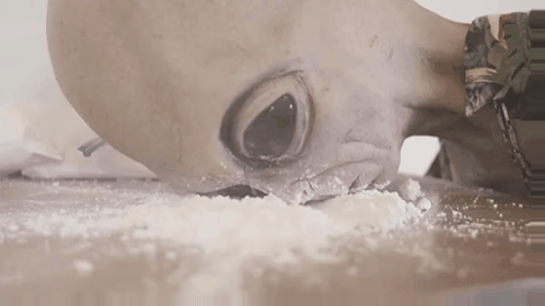 Рабочие будни редакторов Рен ТВ