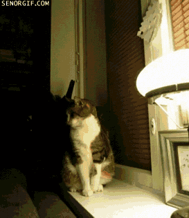 1_yapfiles.ru_2_yapfiles.ru