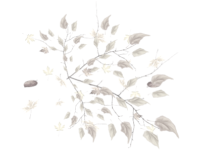 _yapfiles.ru_yapfiles.ru (1)