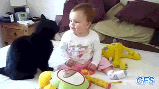 -котэ-ребенок-взгляд-2847090