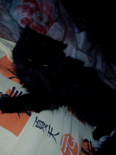 IMG_20160212_025039[2]