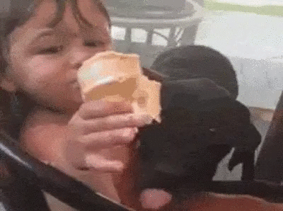 9GAG_Gifs_-_How_taxes_work-697835158871916544