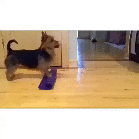 _--696643049057841152