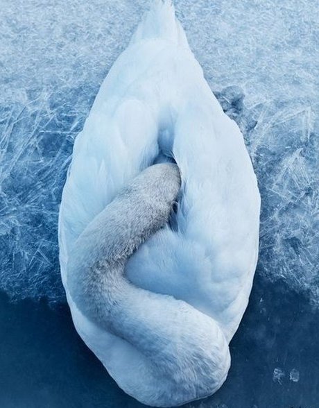 tIvKvNk6SUE_yapfiles.ru