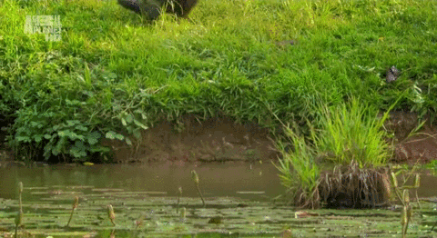 dd0736f2ad8e760adfcce409b42_yapfiles.ru