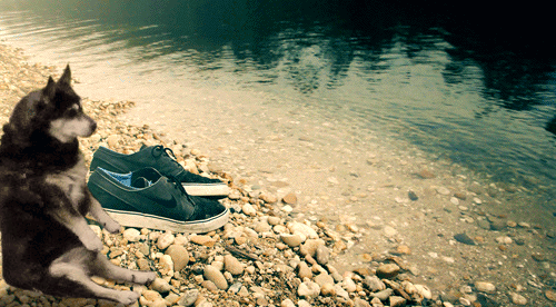 Герасимовы Nike