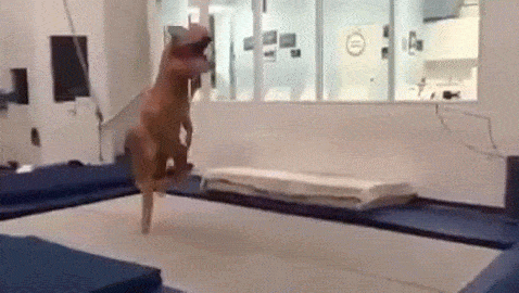 gifs_07