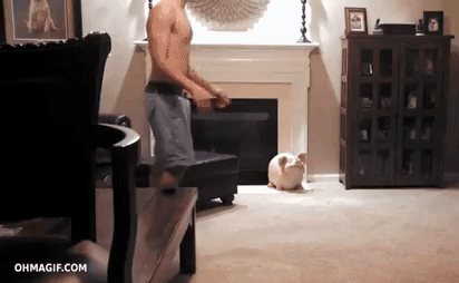 gifs_21