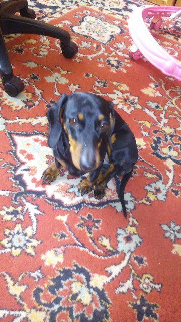 image-30d7ccdb0f40749a4beccd28dcf65684c1a1b78ce3b74bd4bc90190781346d6f-V