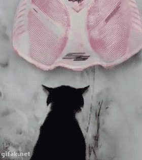 tumblr_o2os5qj4er1ukldkho1_400