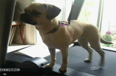 1455864972-f0a28052bdcd1b1a80027955e5855c87