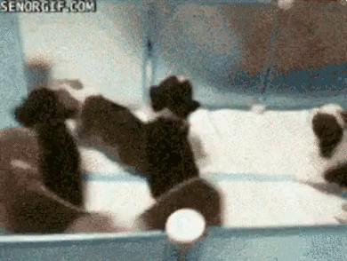 9GAG_Gifs_-_When_you_and_your_brothers_hear_your_m