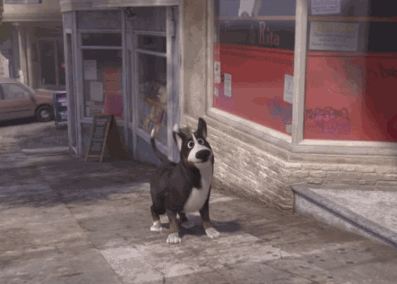 собаки против котов