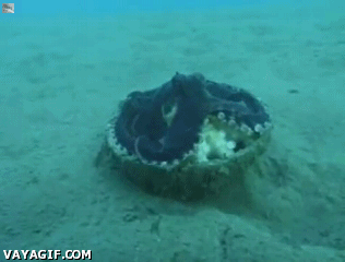 d73e2b8a756ceaa933c697948e475e25