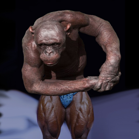 post-3-12881342668388