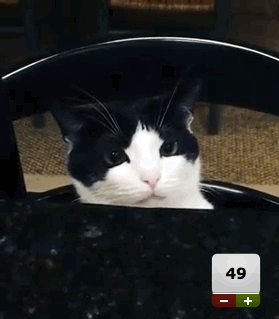 222