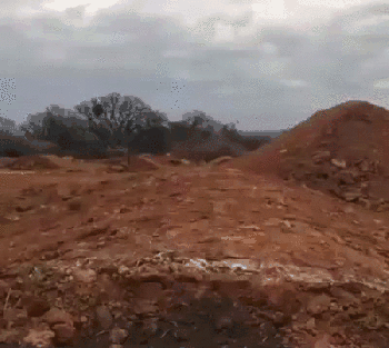 -собака-живность-slow-motion-2885046