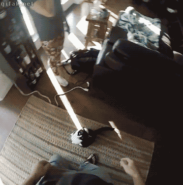 tumblr_o06qvbHzgi1rylzllo1_400