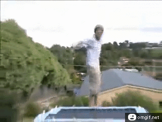 Trampoline-dog-insult-injury