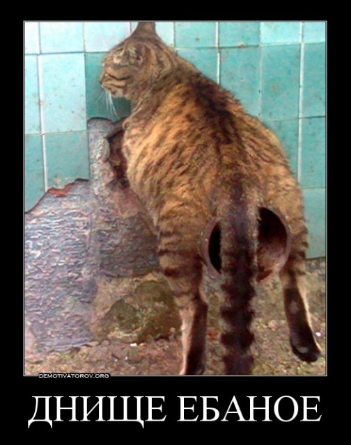 big_79275f57d705125eabefff426d799393