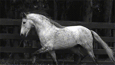 a9760Mm_460sv