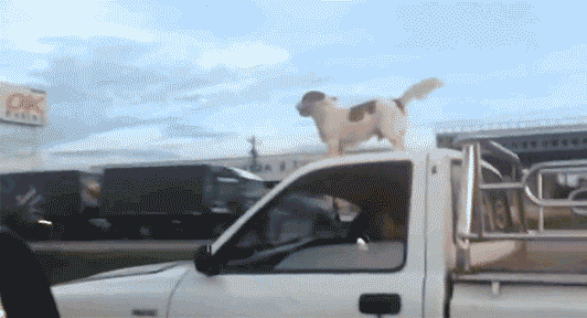 Sweet_41076d_5846414