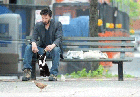 котик-с-Киану-gif