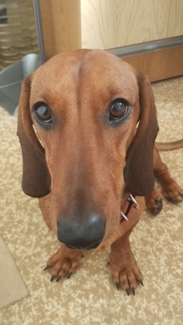 IMG_2016-02-29_130430