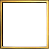 frame_gold_yapfiles.ru