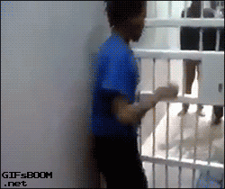 1457133544-083a1c1d78ca5238cc3b63d30428d0c1