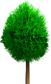 0_f3ec7_f0c71745_orig[1]