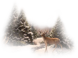 0_f67ac_a8f5902e_orig