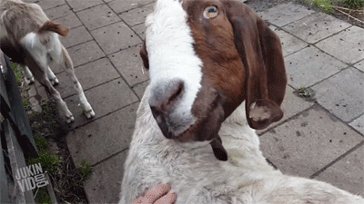 gifs_15_yapfiles.ru