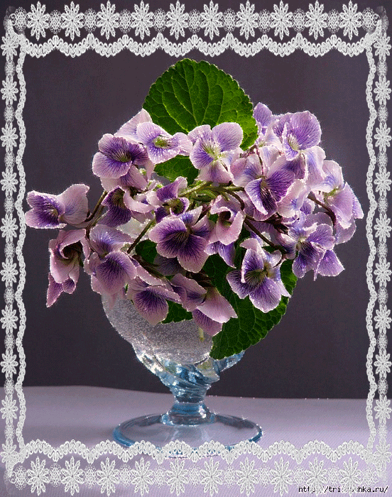 -весеннего-вечера