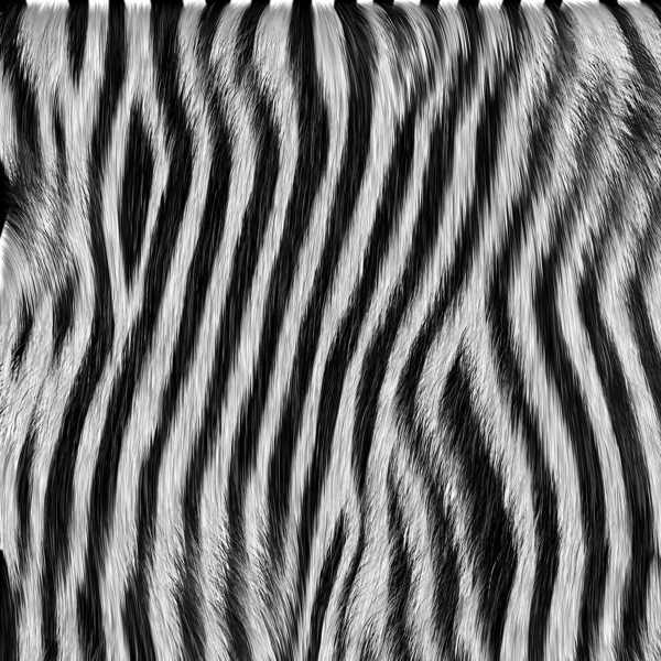 Animal%20fur%20textures%2003[1]