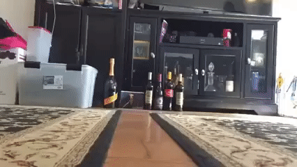 1457532978-c5103ecfac58defe3f5549a0bf34f882