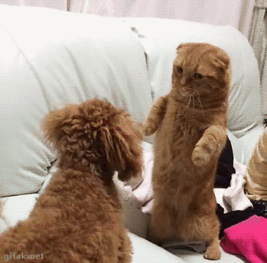 tumblr_o3o6hiETDt1ukldkho1_400