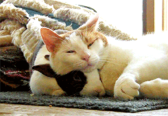 stash-3-505c9fe6a5c2c