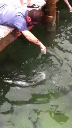 Ловля на живца