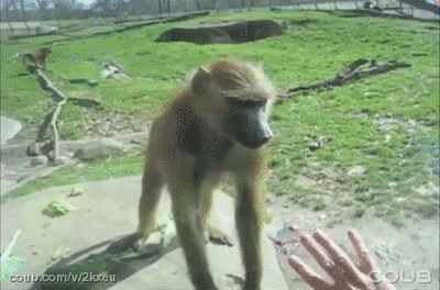 4823edc13ee92a207418237cfa4