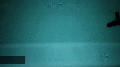 gif10