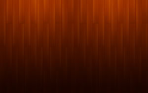 zabyWood_Floors_by_blank77