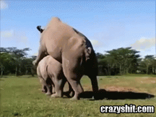 1458160286-2c92455f32323f63392901764fcf6b64