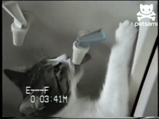 0707de1e5d3893ef5e4a1812b690256c