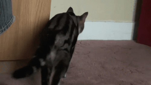 1458498607-c69cc3e3c0e2f6a8123d9a10b9508c2b