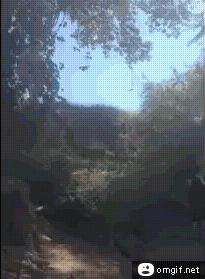 faceplant-level-tarzan