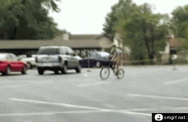 what-the-hell-are-you-doing