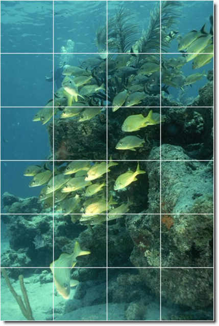 underwater_photo_ceramic_tile_mural_id_45081_4x6_zpsae105da9[1]