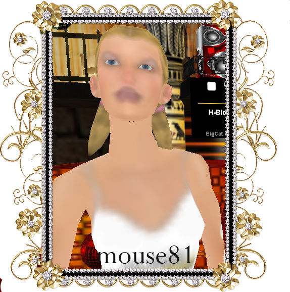 mouse81