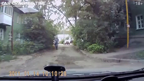 Пьяный мастер